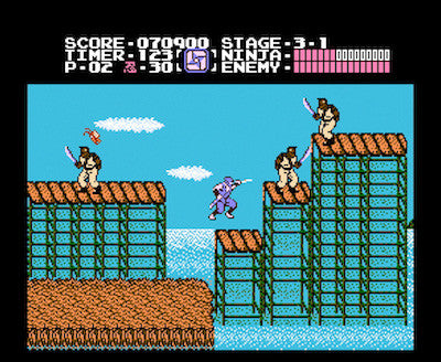 NINJA GAIDEN